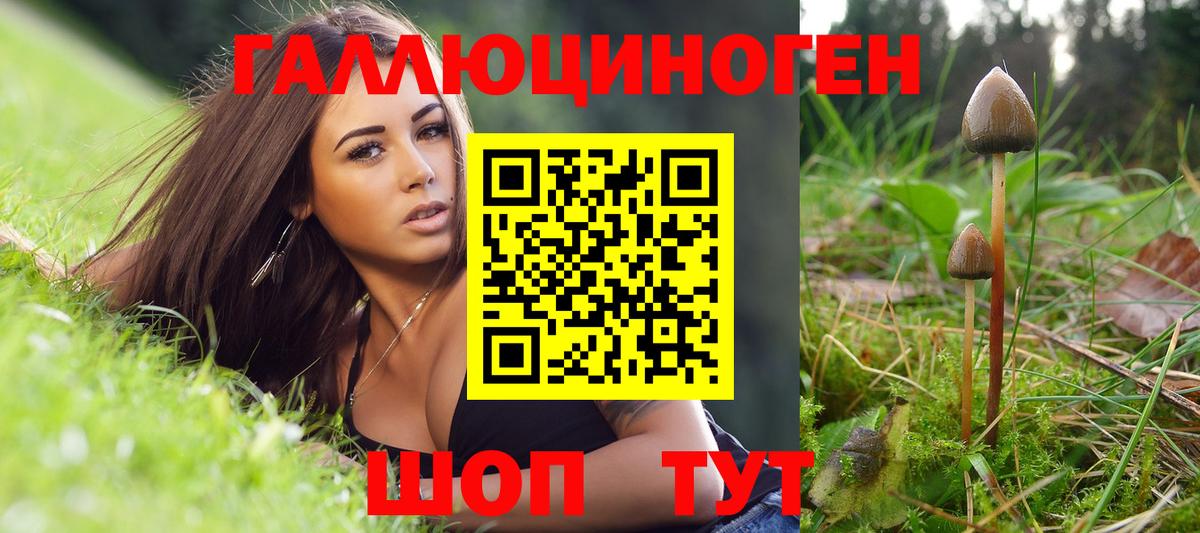 Шелехов  Бошки Шишки  КОКАИН  ГАШ  ГАШИШ  LSD-25  Вход с VPN  Меф  
