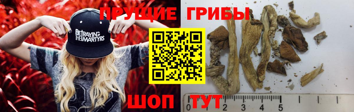 Псилоцибиновые грибы MAGIC MUSHROOMS  Вход с VPN  Шелехов 